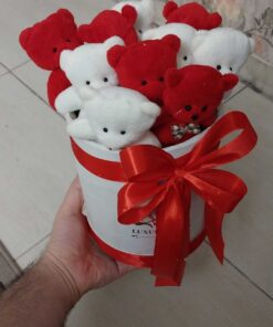 بوکت خرسی ولنتاین روز عشق
